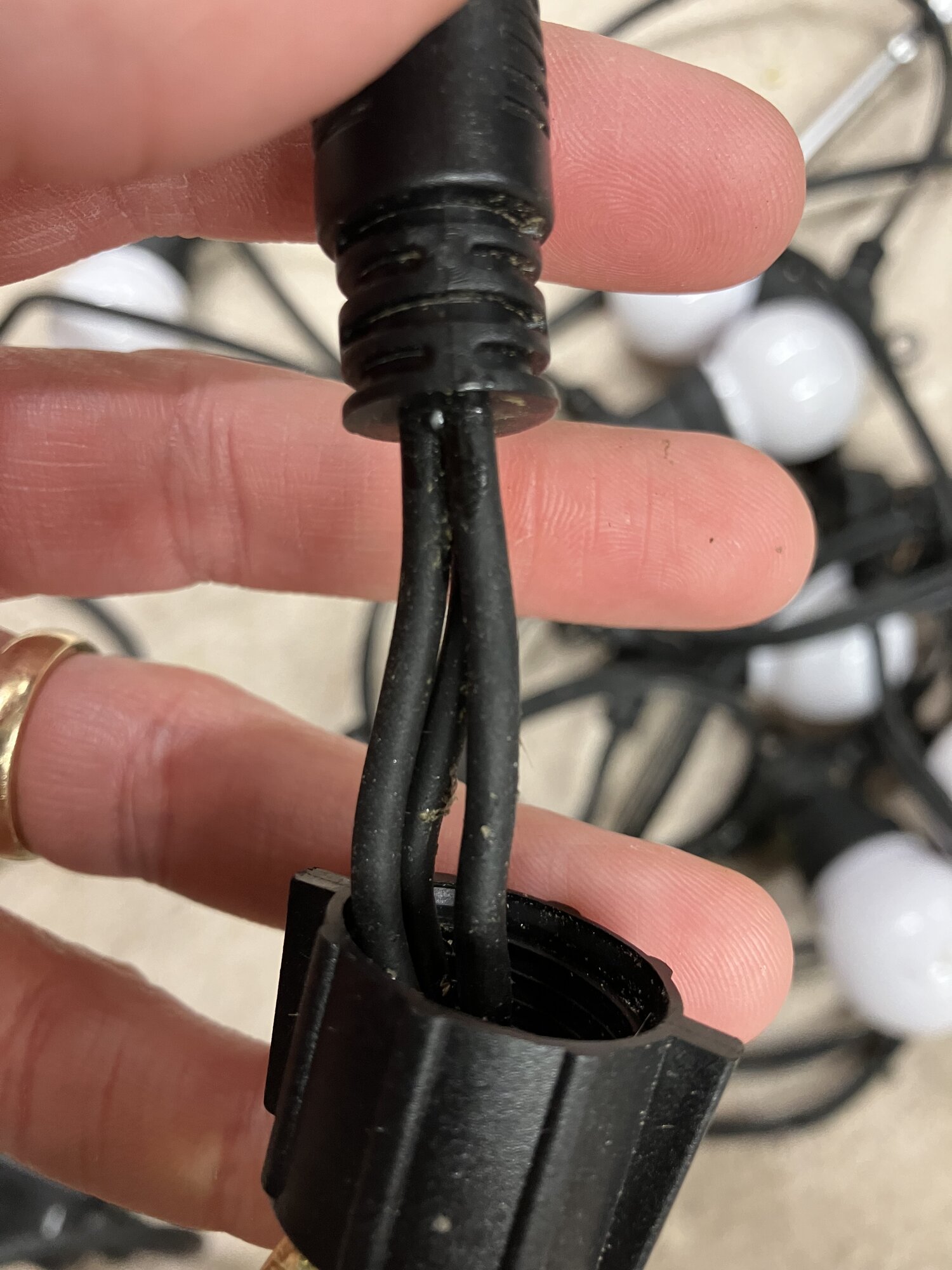 [ElectriciansForums.net] Identifying live, neutral and earth in outdoor festoon lighting