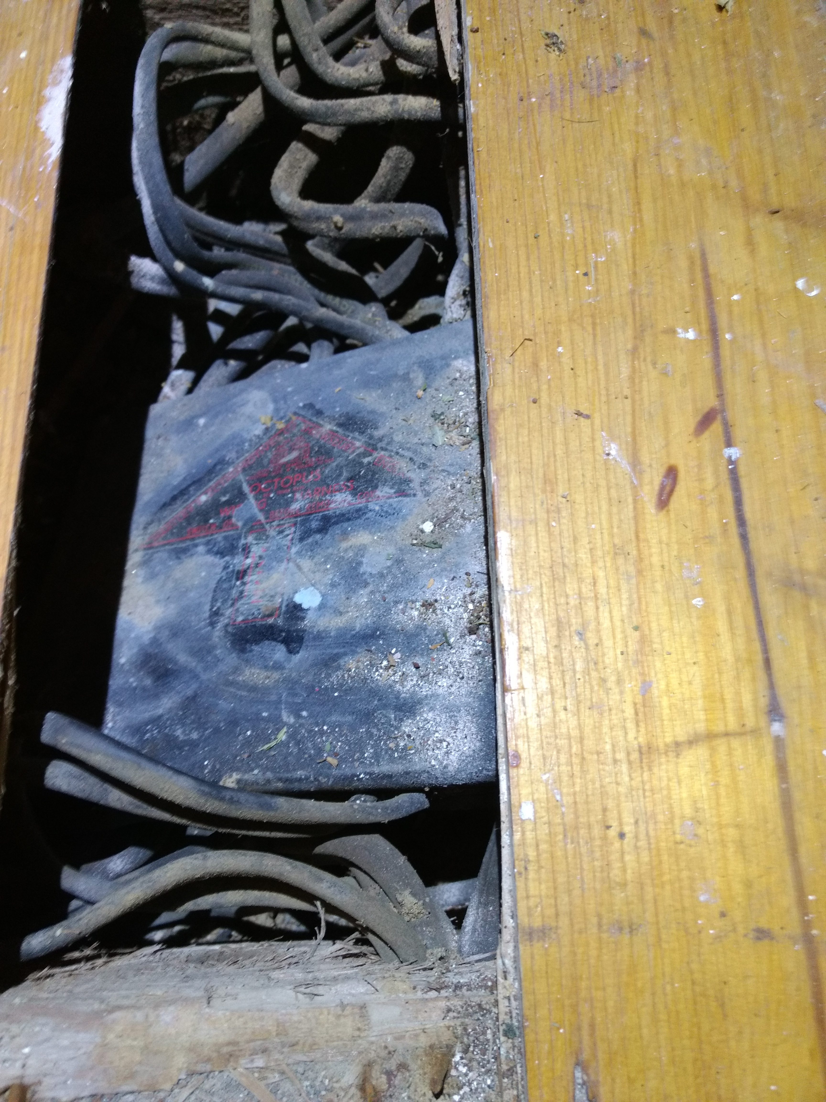 [ElectriciansForums.net] Unidentified cable in loft - advise needed!