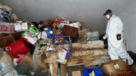 ap_las_vegas_hoarder_jef_121009_wblog.jpg