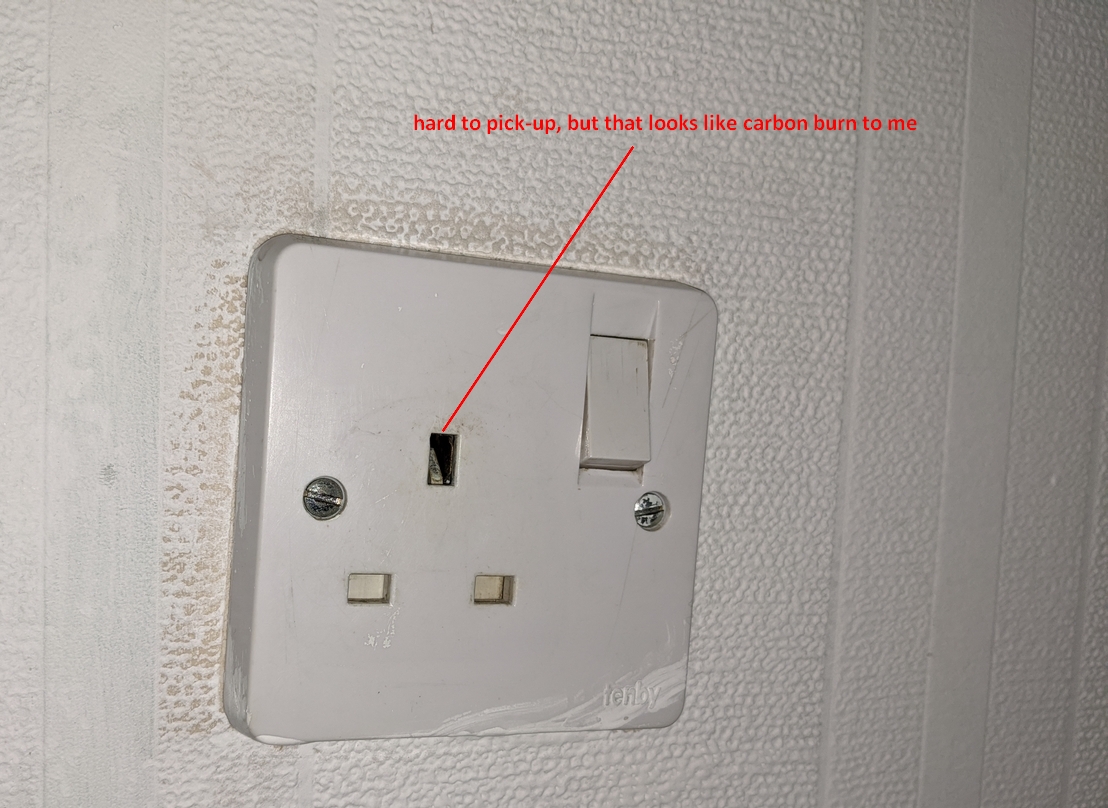 BuzzingTENBYSocket.jpg