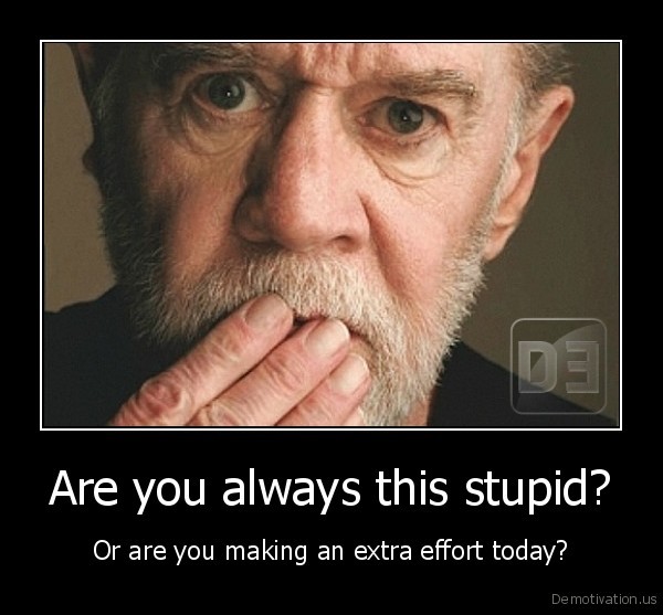 demotivation.us_Are-you-always-this-stupid-Or-are-you-making-an-extra-effort-today_1313701