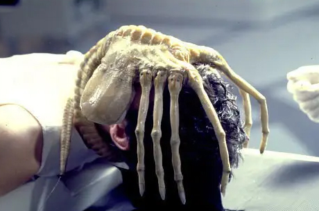 face-hugger.jpg