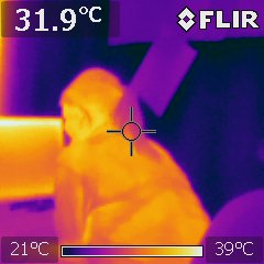 Flir 001.jpg