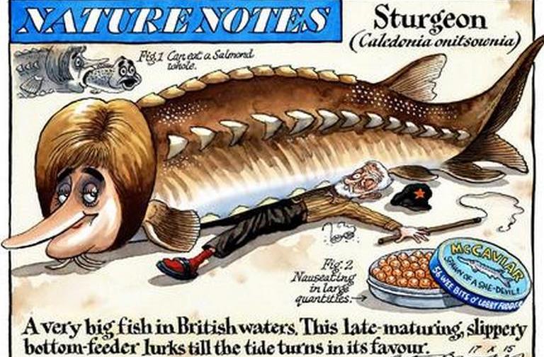 snp fish.jpg